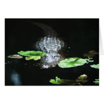 Alligator Greeting Card