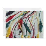 alligator clips, white background, alligator,