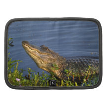 Alligator Creeping Up Planner