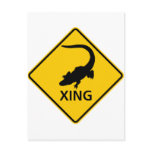 Alligator Crossing Highway Sign Postcard