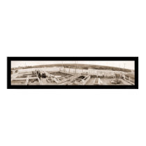 Alligator Farm Florida Photo 1910 posters