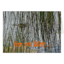 Alligator greeting map lake you more later cards