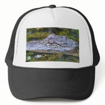 Alligator hats