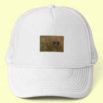 alligator hats