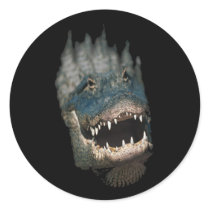 Alligator Head Shot-Huge reptiles stickers