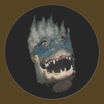 Alligator Head Shot-Huge reptiles stickers