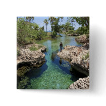 Alligator Hole, Black River Town, Jamaica Pins