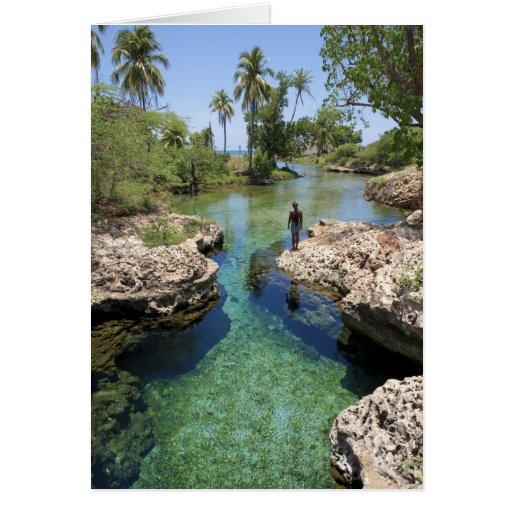 Alligator Hole, Black River Town, Jamaica Greeting Card