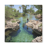 Alligator Hole, Black River Town, Jamaica Fridge Magnets