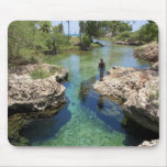 Alligator Hole, Black River Town, Jamaica Mouse Pad