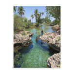 Alligator Hole, Black River Town, Jamaica Post Card