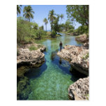Alligator Hole, Black River Town, Jamaica Post Card