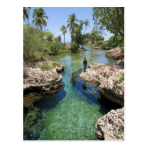 Alligator Hole, Black River Town, Jamaica Post Card