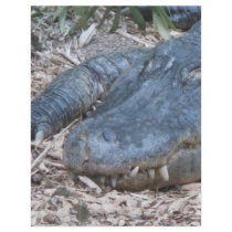Alligator in its Natural Habitat Custom Flyer