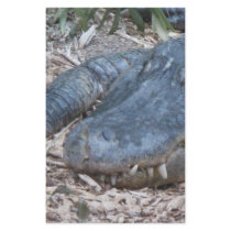 Alligator in its Natural Habitat Personalized Stationery