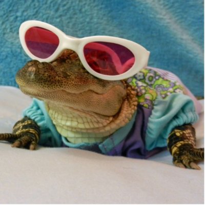 Alligator In Sunglasses Sculpture Photo Sculpture by AngelasFocusedOnYou