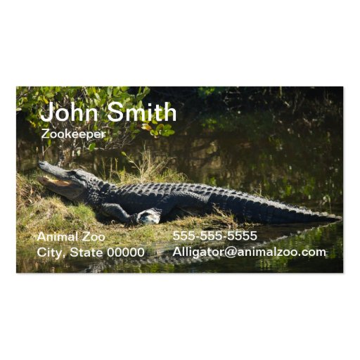 Alligator in the Sun Business Card (front side)