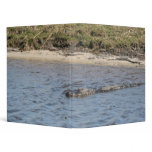 Alligator in the Water Avery Binder