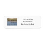 Alligator in the Water Avery Label