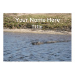Alligator in the Water Business Card