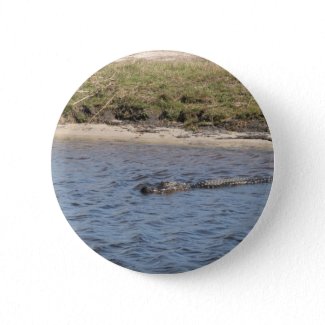 Alligator in the Water Button
