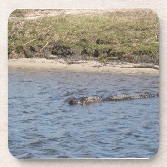 Alligator in the Water Cork Coaster