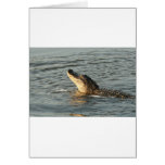 Alligator in the water. greeting card