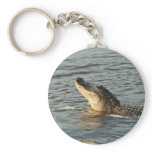 Alligator in the water. key chains