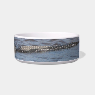 Alligator in the Water Pet Bowl