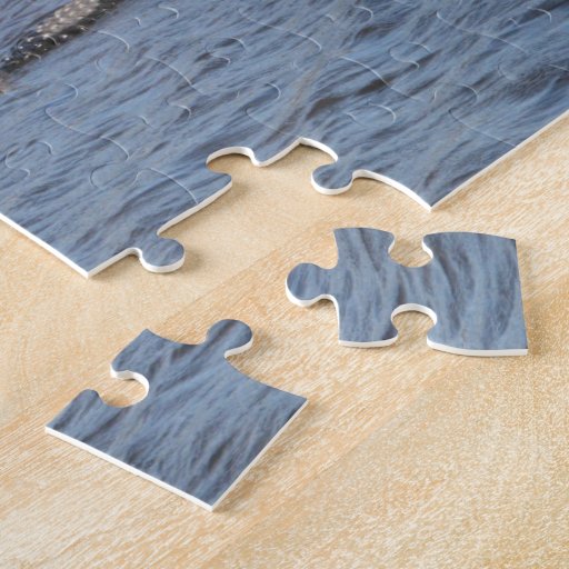 Alligator in the Water Puzzle