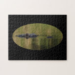 alligator jigsaw puzzles
