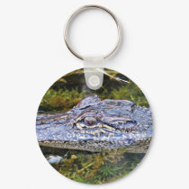 Alligator keychains