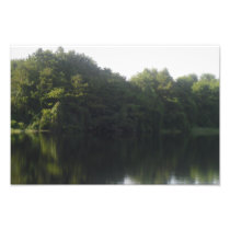 Alligator Lake Photo Print