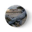 Alligator mississippiensis button