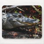 Alligator Mouse Pad