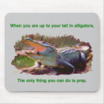 alligator mousepad