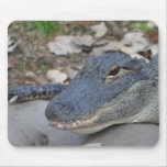 Alligator Mousepad