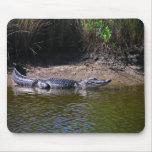 Alligator Mousepad