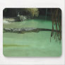 alligator mousepad
