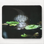 Alligator Mouse Pads