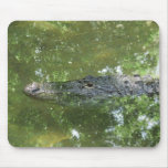 Alligator Mousepad