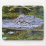Alligator Mousepad