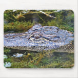 Alligator mousepads
