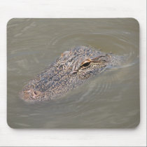 Alligator mousepads