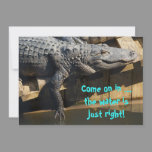 Alligator On Dock invitations