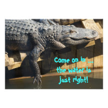 Alligator On Dock Invite