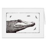 Alligator or crocodile dragonflies fun art drawing cards