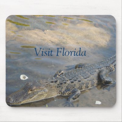 Alligator pad mouse pads by Miadola