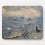 Alligator pad mouse pads