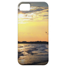 ALLIGATOR POINT, FLORIDA iPhone 5 CASES